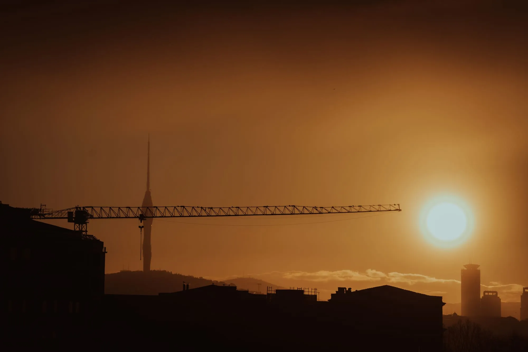 Crane against a setting sun